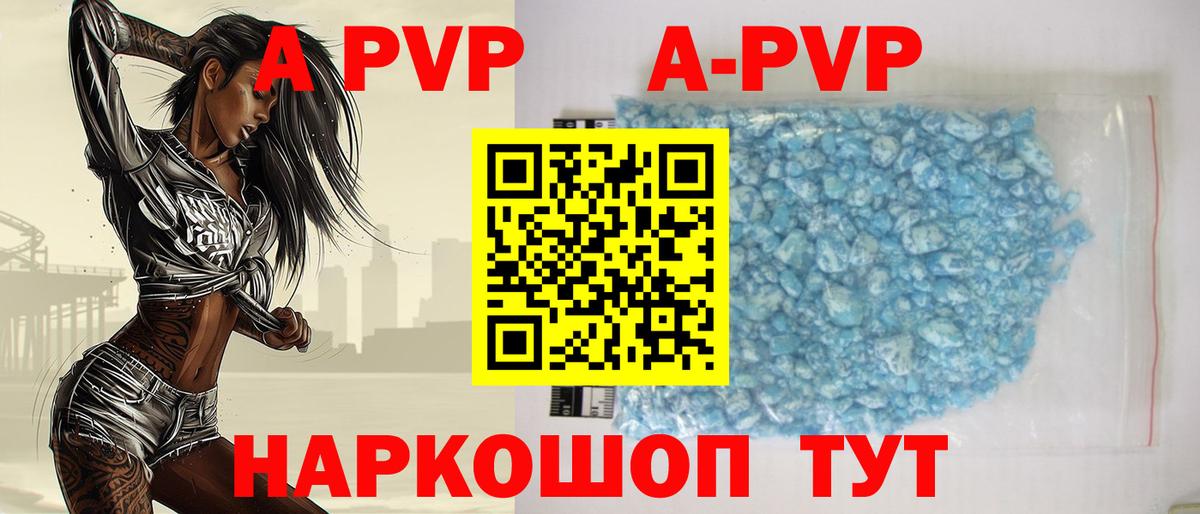A PVP СК КРИС Махачкала