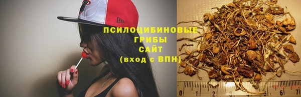 кокс Нея