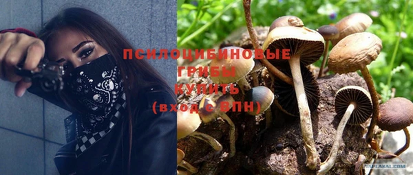индика Надым