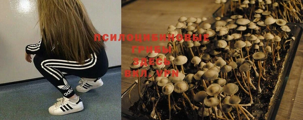 кокс Нея