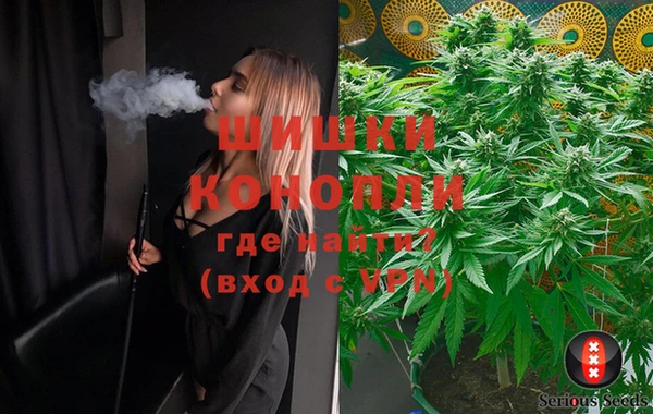 кокс Нея