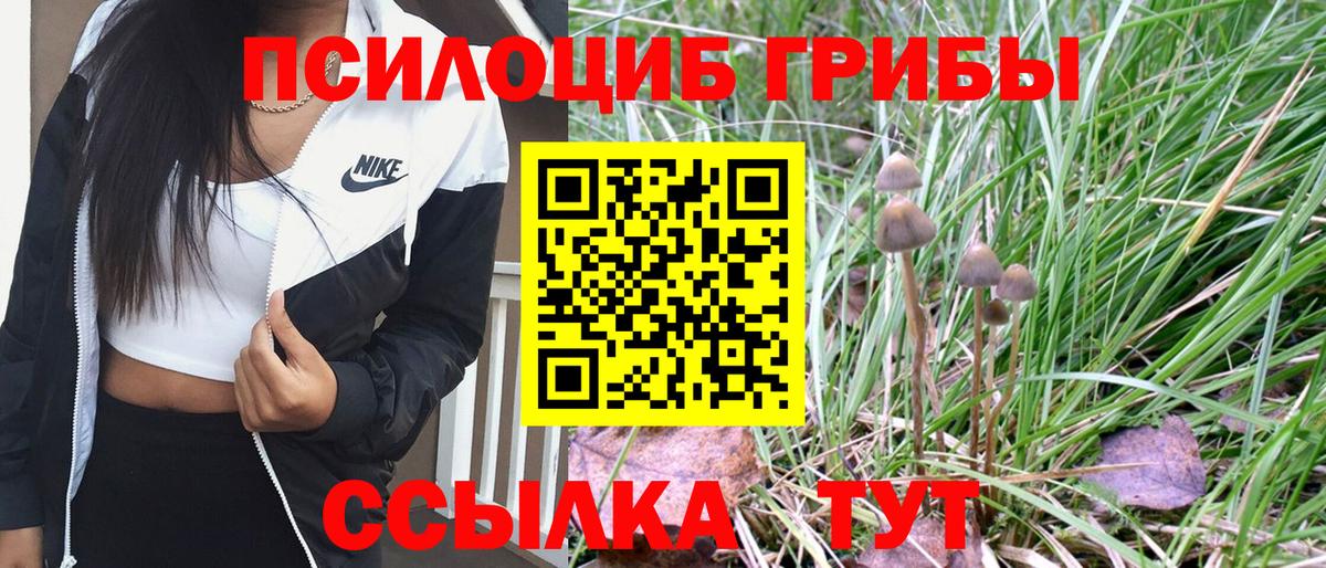 Псилоцибиновые грибы MAGIC MUSHROOMS  Вход с VPN  наркота  Махачкала 