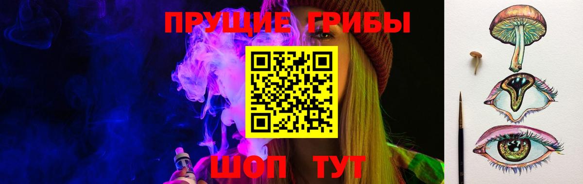 Галлюциногенные грибы Psilocybe  Махачкала 