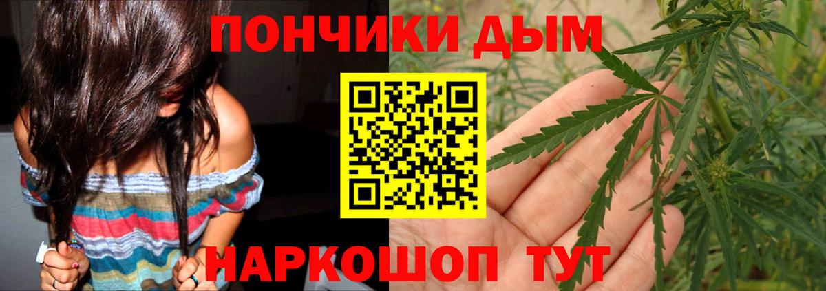 Шишки марихуана Amnesia  Бошки Шишки гибрид  Вход с VPN  Бошки Шишки Amnesia  Махачкала  Шишки марихуана конопля 